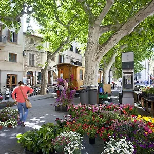 https://can-moragues-de-soller.balearic-islands.net